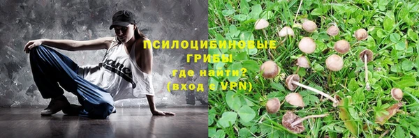 стаф Сафоново