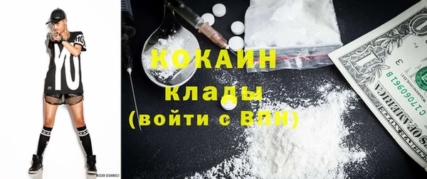 крисы Алзамай
