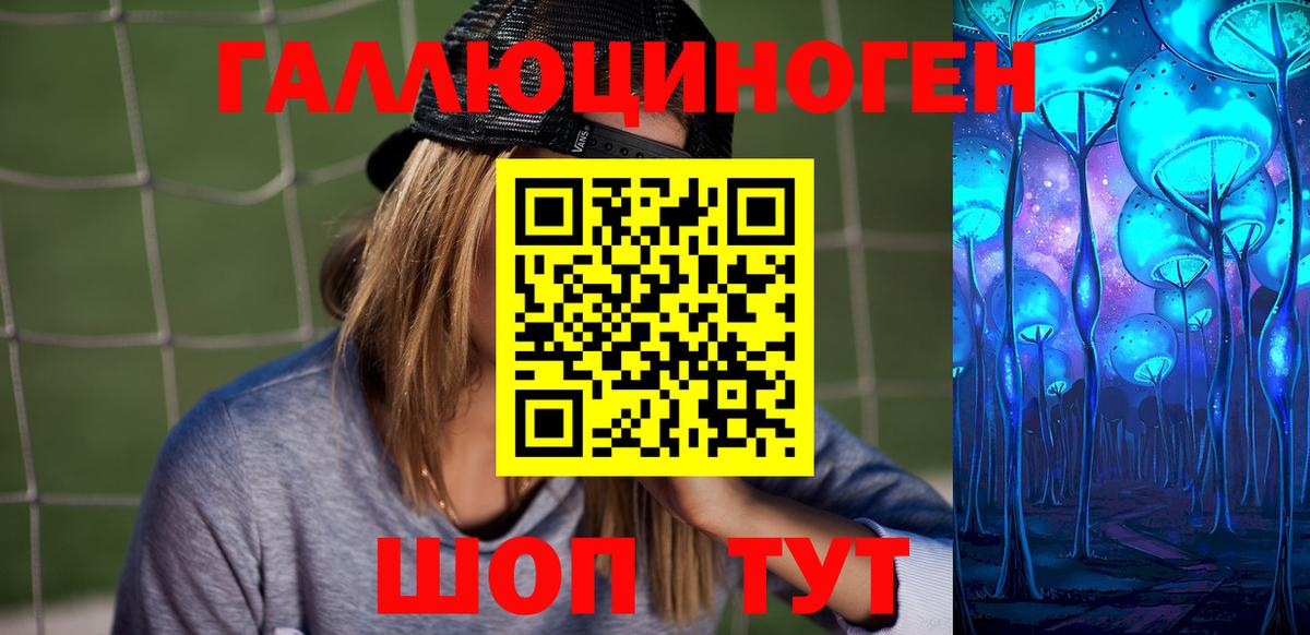 Благодарный  Псилоцибиновые грибы прущие грибы  Вход с VPN  Псилоцибиновые грибы Psilocybe 