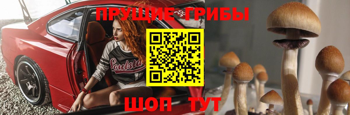 Псилоцибиновые грибы Psilocybine cubensis Благодарный